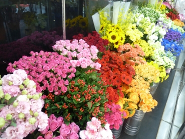 「はせがわ生花店」　（群馬県太田市）の花屋店舗写真2